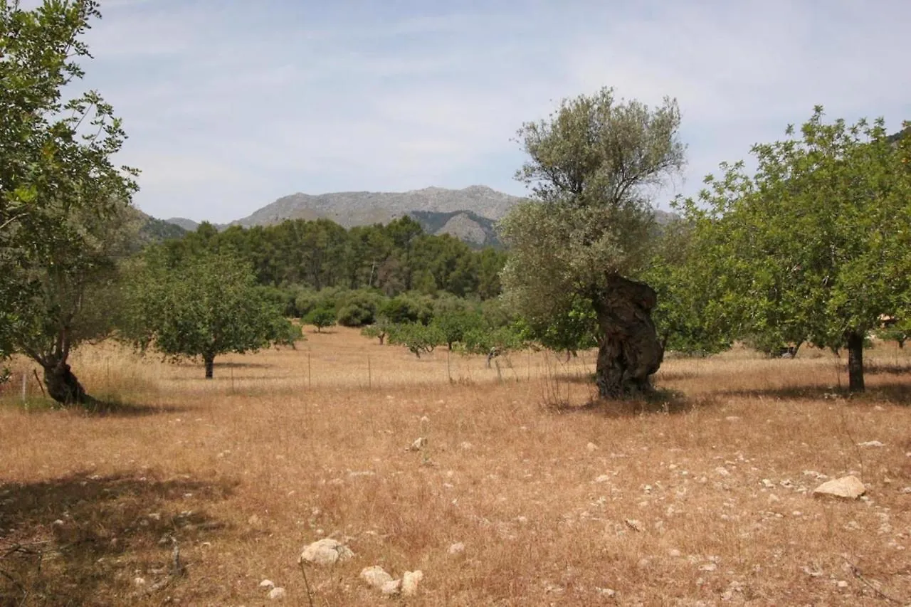 Can Guillo Pollença Villa